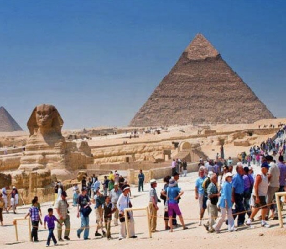 شركات السياحة : زيادة مخصصات التدريب واستحداث برامج متطورة ومعايير للتعيينات بالغرف الفرعية 