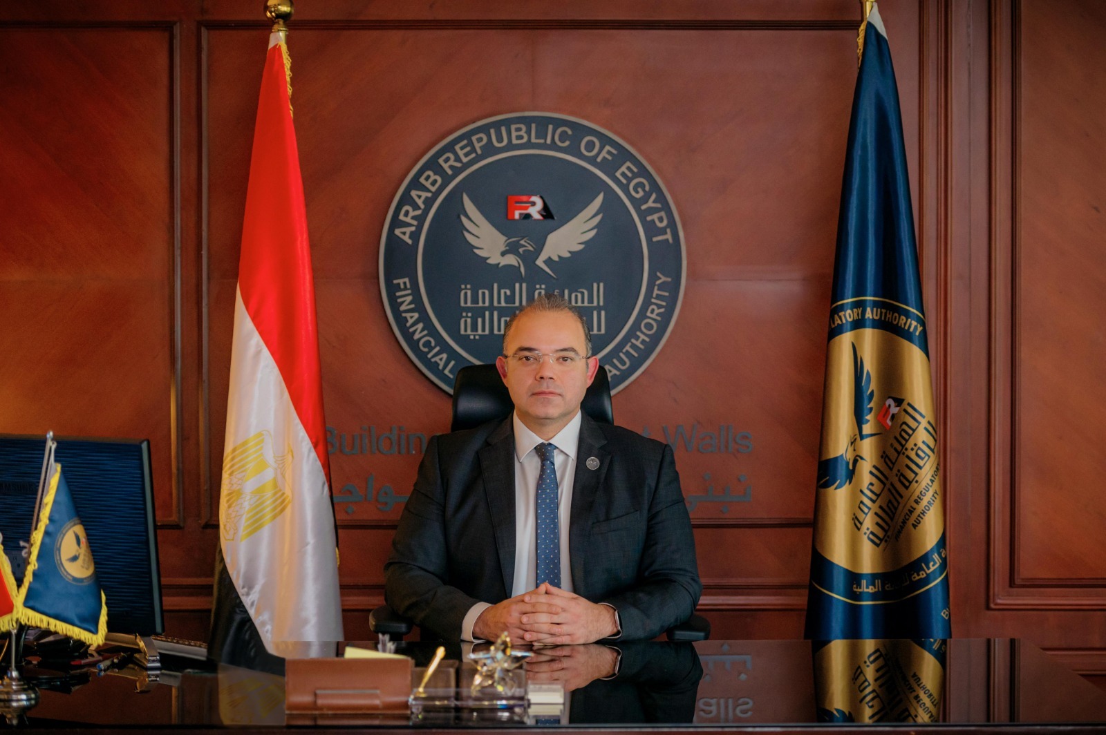 «الرقابة المالية المصرية»